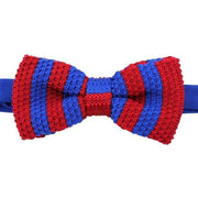 Blue Striped Knitted Polyester Bow Tie