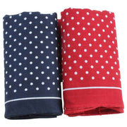 Red Classic Polka Dot Handkerchief Set